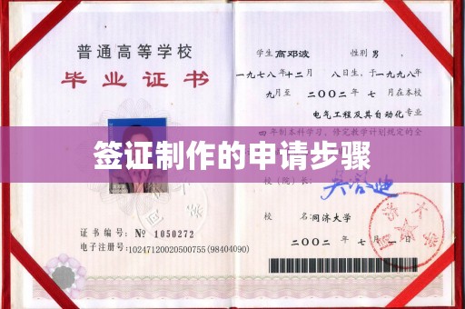 广灵签证制作的申请步骤