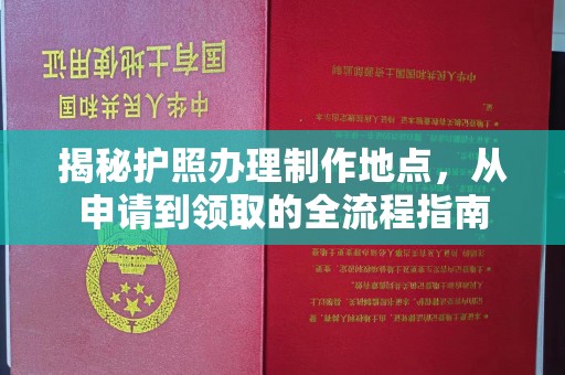广灵揭秘护照办理制作地点，从申请到领取的全流程指南