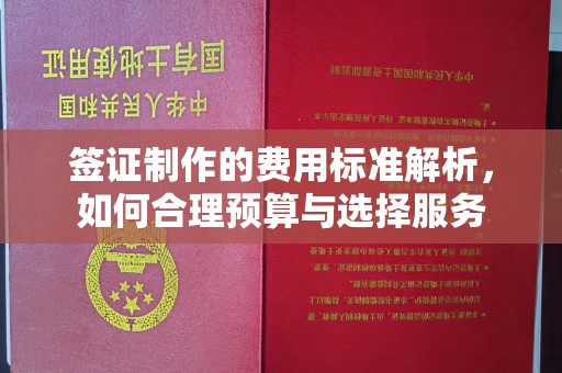 广灵签证制作的费用标准解析，如何合理预算与选择服务