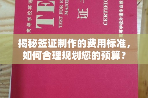 广灵揭秘签证制作的费用标准，如何合理规划您的预算？