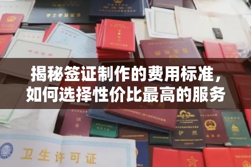 广灵揭秘签证制作的费用标准，如何选择性价比最高的服务？